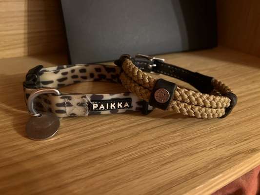 Welches Halsband trägt dein Hund und warum dieses?-Beitrag-Bild