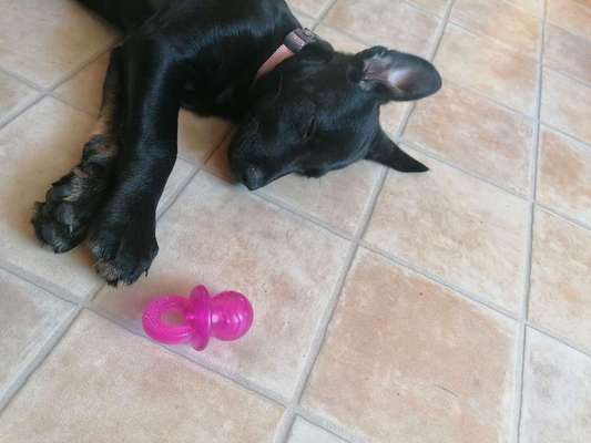 Schlafposition-Beitrag-Bild