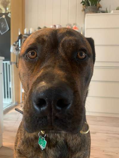 Lustige Grimassen & verrückte Posen-Beitrag-Bild