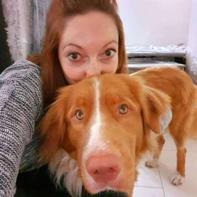 Hundetreffen-Hundetreffen