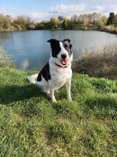 Fotochallenge No. 26                                     Wald und Wiese-Beitrag-Bild