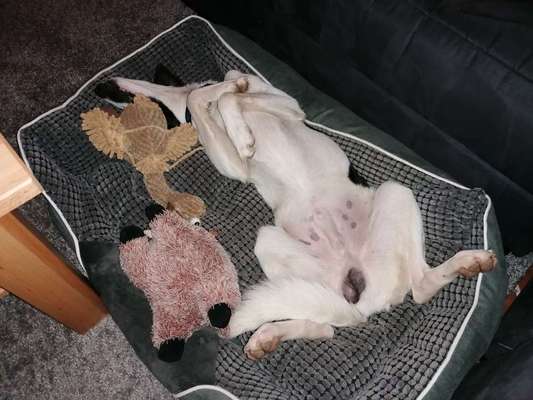 Die unbequemsten und lustigsten Schlafpositionen-Beitrag-Bild