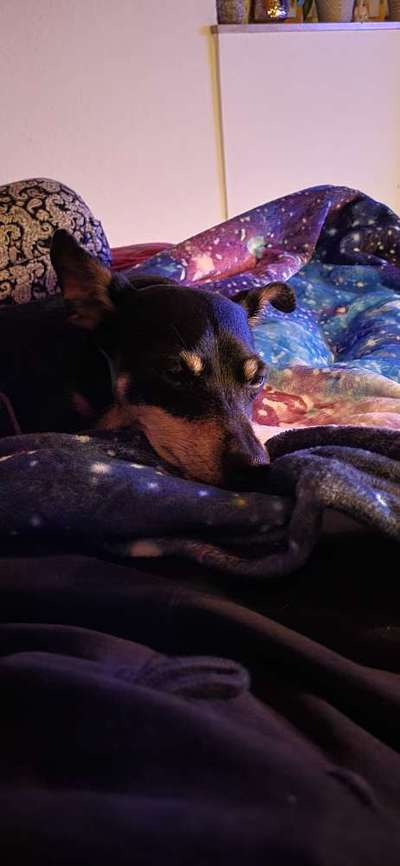 Foto Challenge Nr. 134-Beitrag-Bild