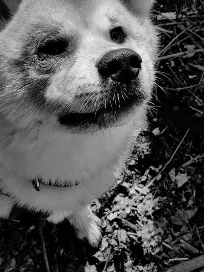 Foto-Challenge 76: Foto in Schwarz-Weiss-Beitrag-Bild