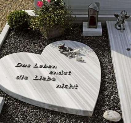 Unsere Fellnasen im Regenbogenland-Beitrag-Bild