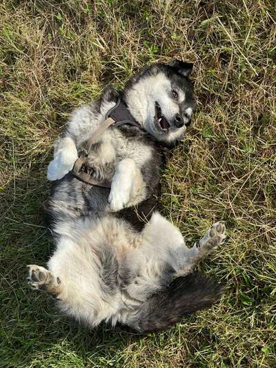 Handy-foto Challange nr. 11-Beitrag-Bild