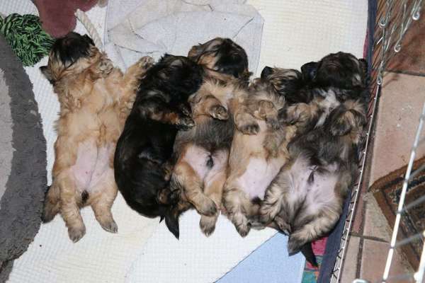 Die unbequemsten und lustigsten Schlafpositionen-Beitrag-Bild