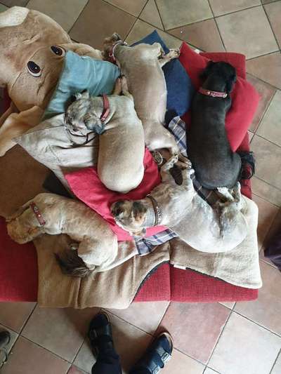 Die unbequemsten und lustigsten Schlafpositionen-Beitrag-Bild