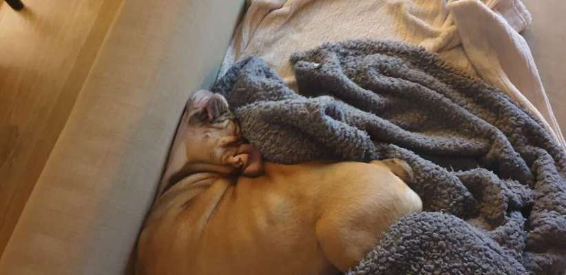 Die unbequemsten und lustigsten Schlafpositionen-Beitrag-Bild