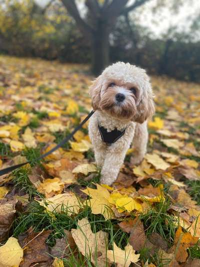 Doppelgänger gesucht !-Beitrag-Bild