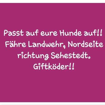 Giftköder-Giftköder-Bild
