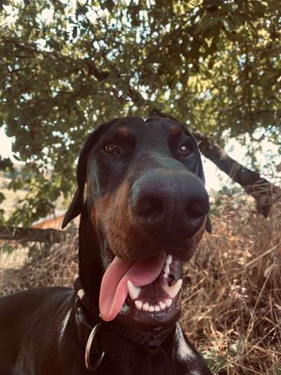 Handyfoto challenge Nr. 13: Waschlappen raus!-Beitrag-Bild