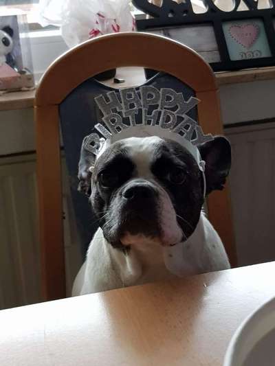 Hier ist der Spaßthread. Zum Schmunzeln und Kaputtlachen-Beitrag-Bild