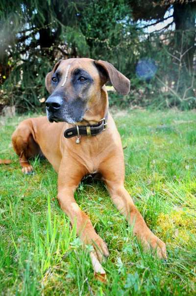 Farben Fotochallenge Thema ,,Grün"-Beitrag-Bild