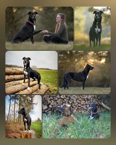 32. Collagen Challenge - eure liebsten gestellten Fotos-Beitrag-Bild