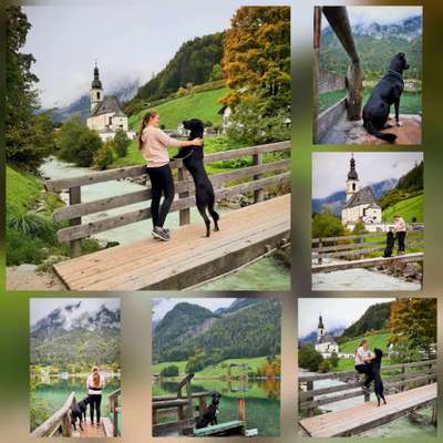 19. Collagen Challenge - Brücken-Beitrag-Bild