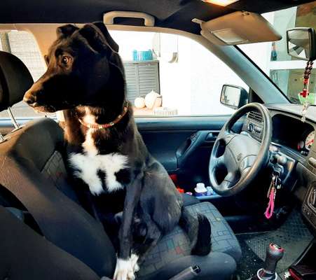 117. Fotochallenge-Beitrag-Bild