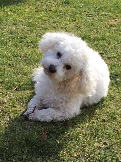 Fotochallange Nr. 57     PORTRÄT.   Beendet!!!!!!!!-Beitrag-Bild