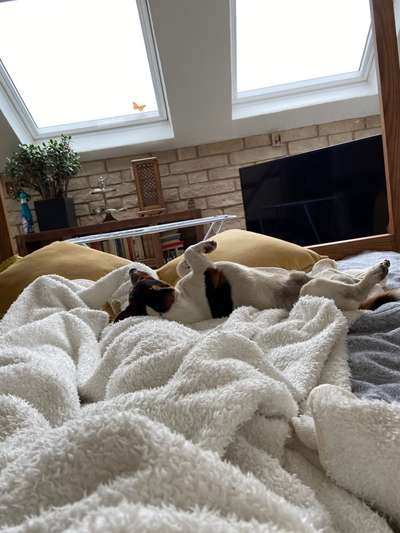 Die unbequemsten und lustigsten Schlafpositionen-Beitrag-Bild