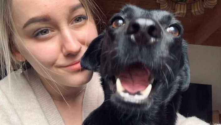 Die lustigsten Selfies mit Deinem Hund !-Beitrag-Bild