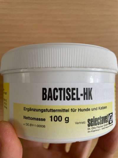 Windhunde - Treffen der besonderen Schönheiten
HERZLICH WILLKOMMEN-Beitrag-Bild