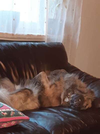 Die unbequemsten und lustigsten Schlafpositionen-Beitrag-Bild