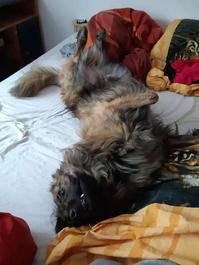 Die unbequemsten und lustigsten Schlafpositionen-Beitrag-Bild