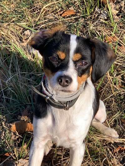 Erstes Bild-Beitrag-Bild