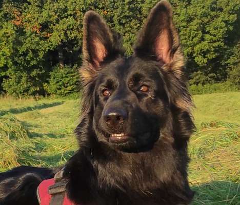 Fotochallange Nr. 57     PORTRÄT.   Beendet!!!!!!!!-Beitrag-Bild