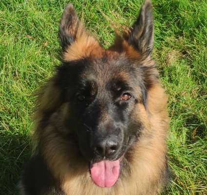 Fotochallange Nr. 57     PORTRÄT.   Beendet!!!!!!!!-Beitrag-Bild