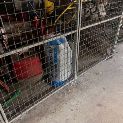 Giftköder-Blaukorn in Tiefgarage und Umgebung-Bild