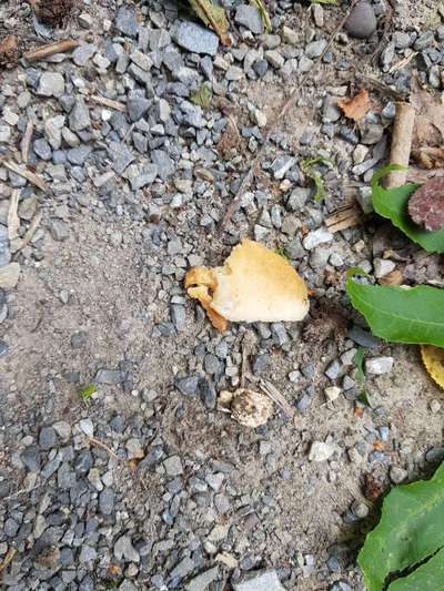 Draußen etwas aufgenommen-Beitrag-Bild