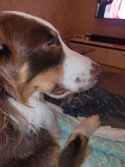 Lefze plötzlich dick-Beitrag-Bild