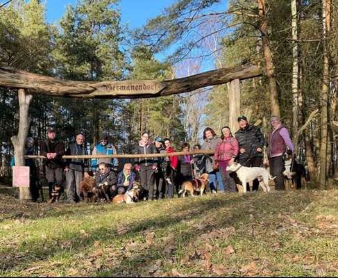 Große Schweizer Sennenhunde-Beitrag-Bild