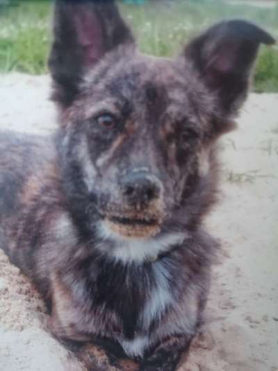 Fotochallange Nr. 57     PORTRÄT.   Beendet!!!!!!!!-Beitrag-Bild