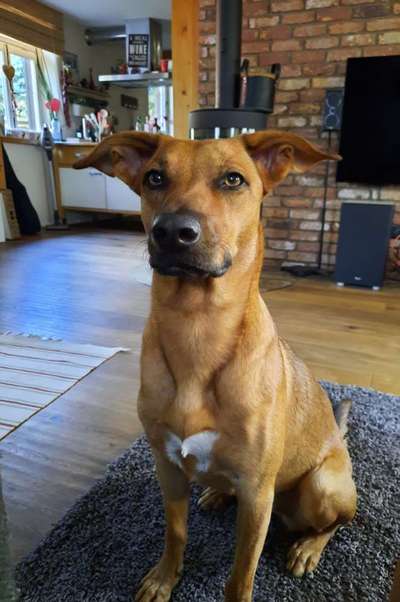 Außergewöhnliche Merkmale-Beitrag-Bild