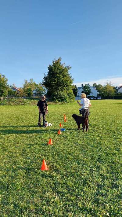 Giftköder-Ausbildung zum Hundetrainer 2023-Bild