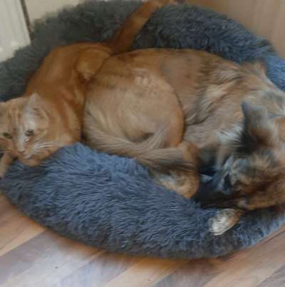 CHALLENGE Nr.17-Beitrag-Bild