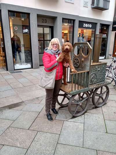 Challenge 33 - Du und dein Hund-Beitrag-Bild