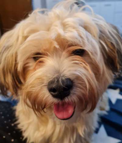 Fotochallange Nr. 57     PORTRÄT.   Beendet!!!!!!!!-Beitrag-Bild