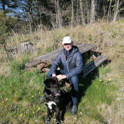 Hundetreffen-Gassirunde und Spielen