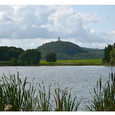 Hundetreffen-Sozialkontakt(e) im Brohltal-Bild