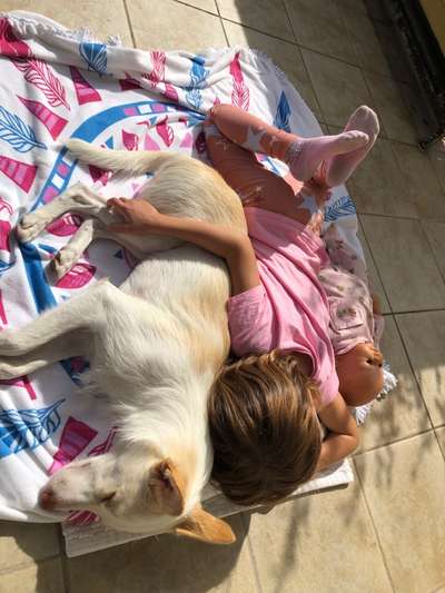 Dogorama Photo Challenge - Be my valentine-Beitrag-Bild