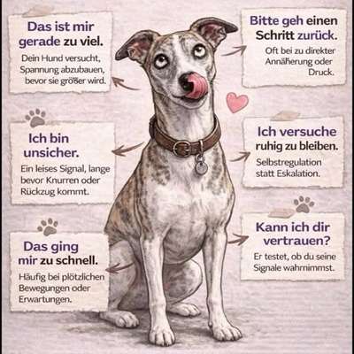 aktuelles Foto Gruppe Körpersprache lesen & verstehen