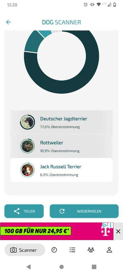 Welche Rasse könnte das sein?-Beitrag-Bild