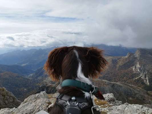 Fotochallenge Nr 107-Beitrag-Bild