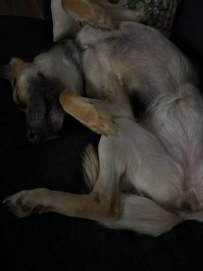 Schlafposition-Beitrag-Bild