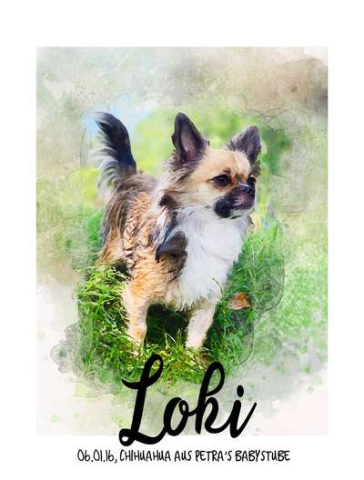 Der Hund als Cartoon-Beitrag-Bild