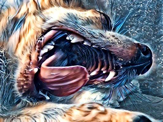 Der Hund als Cartoon-Beitrag-Bild