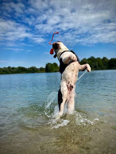 35. Handy Foto Challenge - Das nasse Element-Beitrag-Bild